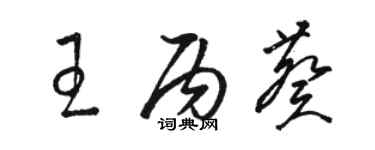 駱恆光王丙葵草書個性簽名怎么寫