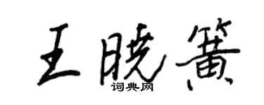 王正良王曉簧行書個性簽名怎么寫