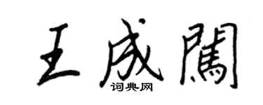 王正良王成闖行書個性簽名怎么寫