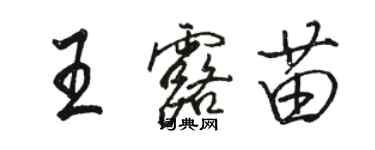 駱恆光王露苗行書個性簽名怎么寫