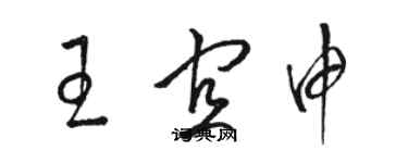 駱恆光王宜申草書個性簽名怎么寫