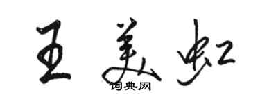 駱恆光王美虹行書個性簽名怎么寫