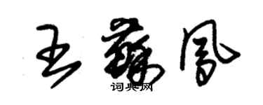 朱錫榮王蘇鳳草書個性簽名怎么寫