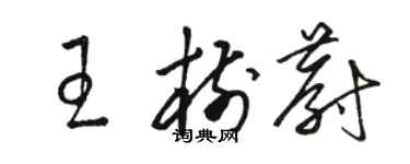 駱恆光王樹蔚草書個性簽名怎么寫