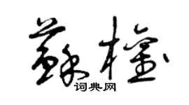 曾慶福蘇權草書個性簽名怎么寫