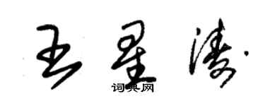 朱錫榮王星濤草書個性簽名怎么寫