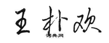 駱恆光王朴歡行書個性簽名怎么寫