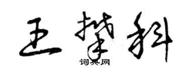 曾慶福王攀科草書個性簽名怎么寫