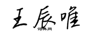 王正良王辰唯行書個性簽名怎么寫