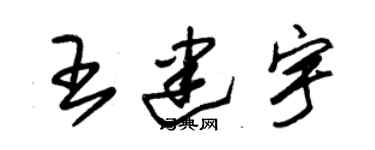朱錫榮王建宇草書個性簽名怎么寫