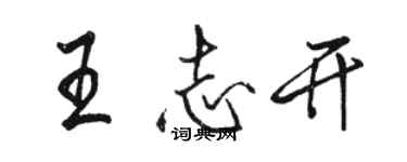 駱恆光王志開行書個性簽名怎么寫