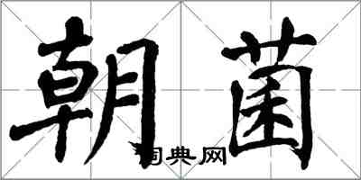 翁闓運朝菌楷書怎么寫