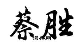 胡問遂蔡勝行書個性簽名怎么寫