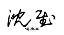 朱錫榮沈慰草書個性簽名怎么寫