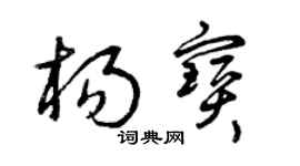 曾慶福楊寶草書個性簽名怎么寫