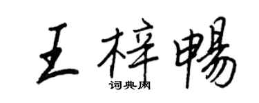 王正良王梓暢行書個性簽名怎么寫