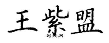 丁謙王紫盟楷書個性簽名怎么寫