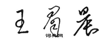 駱恆光王眉晨草書個性簽名怎么寫