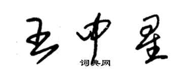 朱錫榮王中星草書個性簽名怎么寫