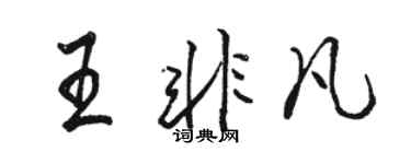 駱恆光王非凡行書個性簽名怎么寫