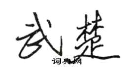 駱恆光武楚行書個性簽名怎么寫