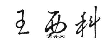 駱恆光王西科草書個性簽名怎么寫