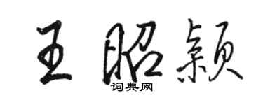 駱恆光王昭穎行書個性簽名怎么寫