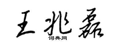 王正良王兆磊行書個性簽名怎么寫