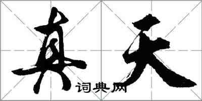 胡問遂真天行書怎么寫