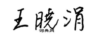 王正良王曉涓行書個性簽名怎么寫