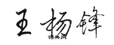 駱恆光王楊鋒行書個性簽名怎么寫