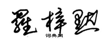 朱錫榮羅梓默草書個性簽名怎么寫