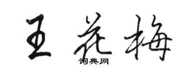 駱恆光王花梅行書個性簽名怎么寫