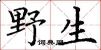 丁謙野生楷書怎么寫