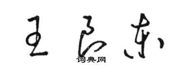 駱恆光王良東草書個性簽名怎么寫