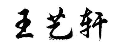 胡問遂王藝軒行書個性簽名怎么寫