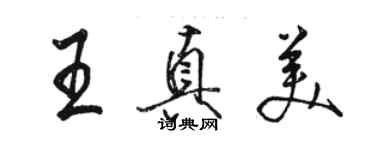 駱恆光王真美行書個性簽名怎么寫