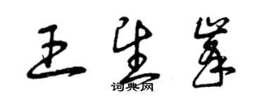 曾慶福王望峰草書個性簽名怎么寫