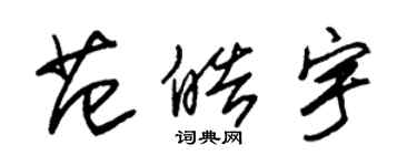 朱錫榮范皓宇草書個性簽名怎么寫