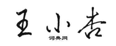 駱恆光王小杏行書個性簽名怎么寫