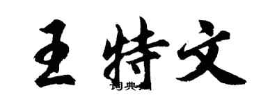 胡問遂王特文行書個性簽名怎么寫