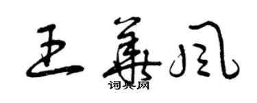 曾慶福王華風草書個性簽名怎么寫