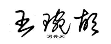 朱錫榮王琬胡草書個性簽名怎么寫