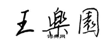 王正良王樂園行書個性簽名怎么寫