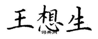 丁謙王想生楷書個性簽名怎么寫