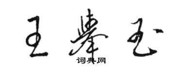 駱恆光王舉玉草書個性簽名怎么寫