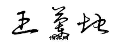 曾慶福王蘭地草書個性簽名怎么寫