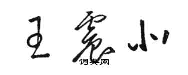 駱恆光王震北草書個性簽名怎么寫