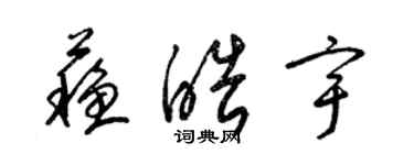 梁錦英蘇皓宇草書個性簽名怎么寫