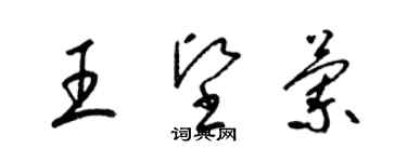 梁錦英王堅蘭草書個性簽名怎么寫